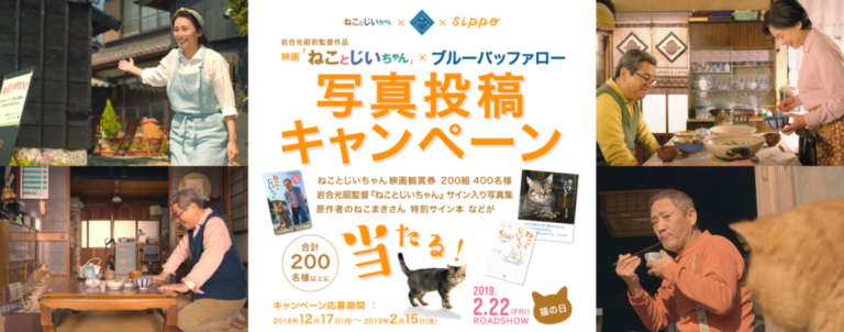 【応募してみた】ねことじいちゃん×ブルーバッファロー 写真投稿キャンペーン