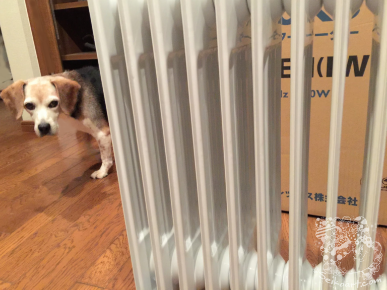 【暖房選び②】ユーレックスオイルヒーターを一週間使ってみた【LFX12EH】子どもや愛犬にも優しいよ♪