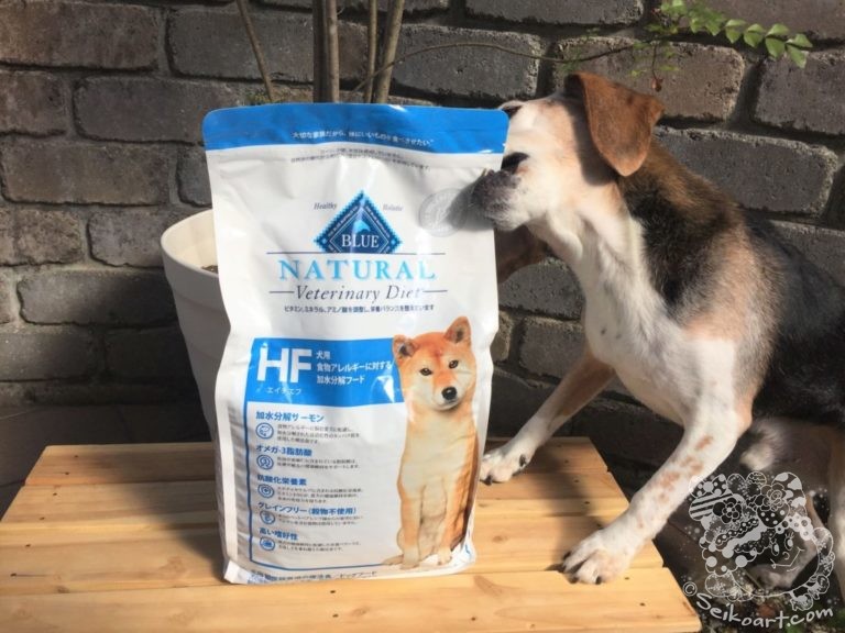 ブルーバッファローの療養食の値段と購入方法【hf】愛犬のアレルギー対策にいいドッグフード選び