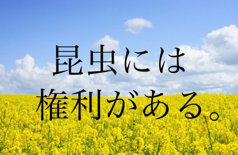 「私たちは昆虫がいなくては生きていけない」ドイツで昆虫保護法
