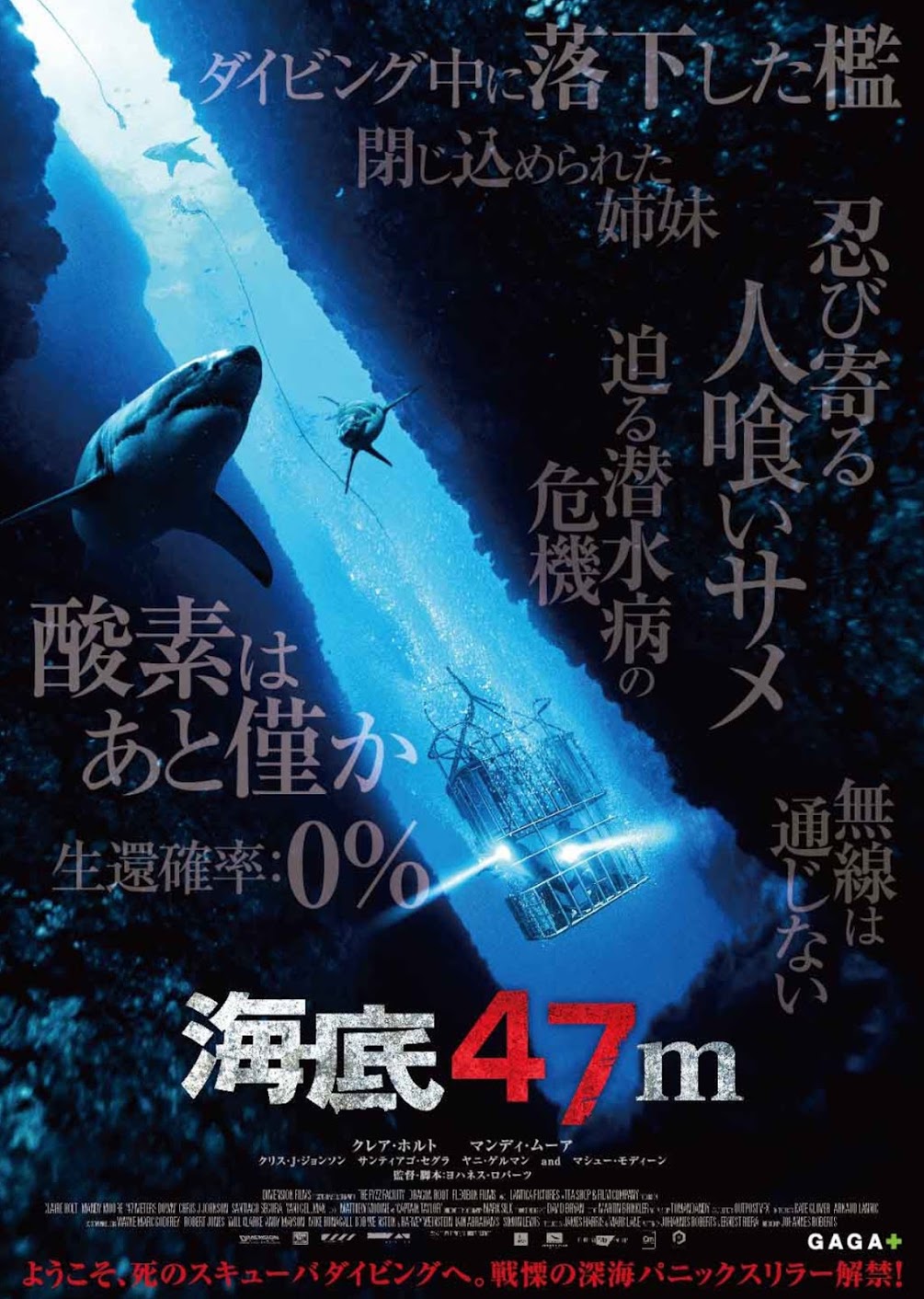 サメ映画 海底47ｍ 極限状態の海底からの脱出サバイバルとは 衝撃のラストのネタバレあり アマゾンプライムで無料視聴 いぬくま美術館