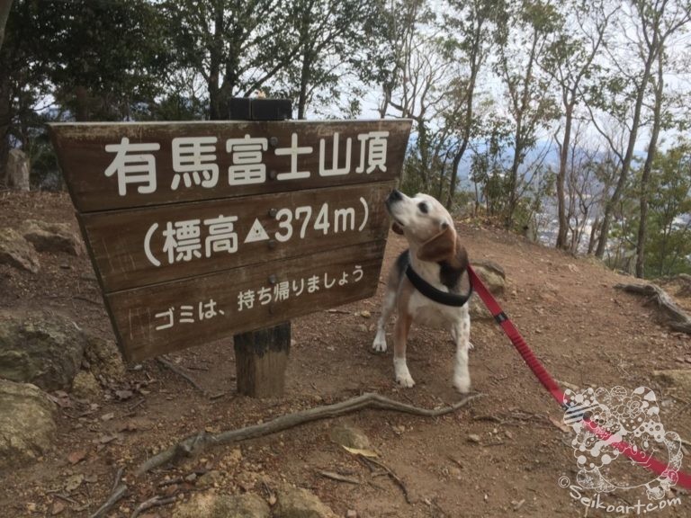 【兵庫県の公園ペット同伴可】有馬富士の登山ルートを愛犬と一緒に行ってきた。山頂までの所要時間はどれくらい？【三田市有馬富士公園】