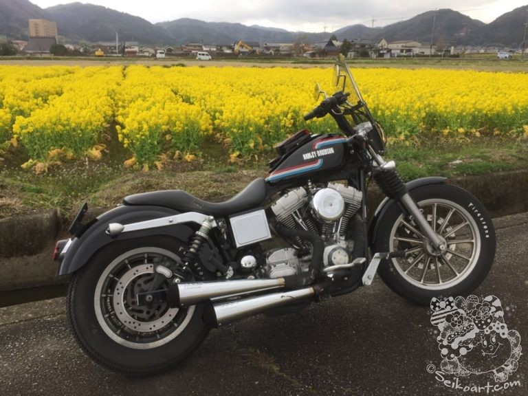 関西の田舎道バイクでツーリング旅【半日編】