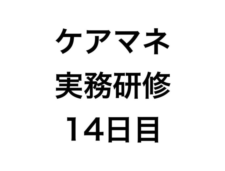研修の総仕上げ！アセスメント及び居宅サービス計画等作成の総合演習【ケアマネ実務研修14日目】