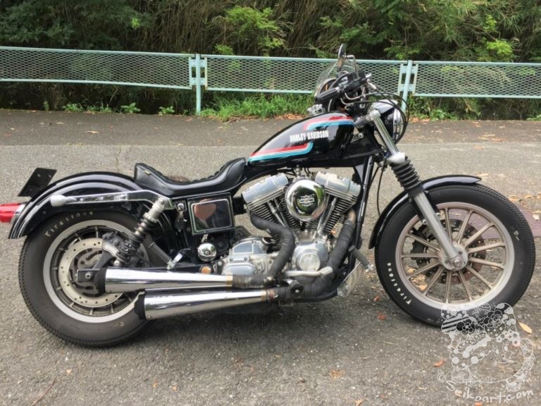 【8月19日】バイクの日に見つけたマーブル模様の丸いやつ