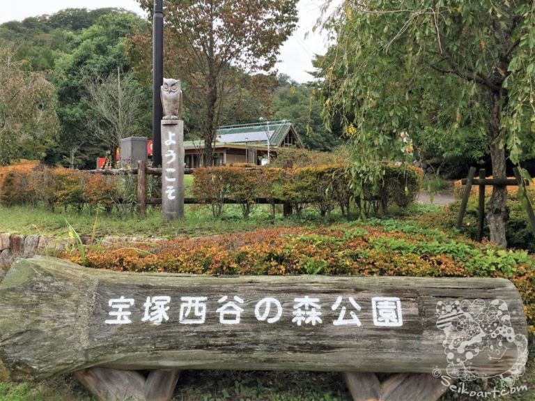 【宝塚西谷の森公園】愛犬のダイエットにちょうどいい登山コース