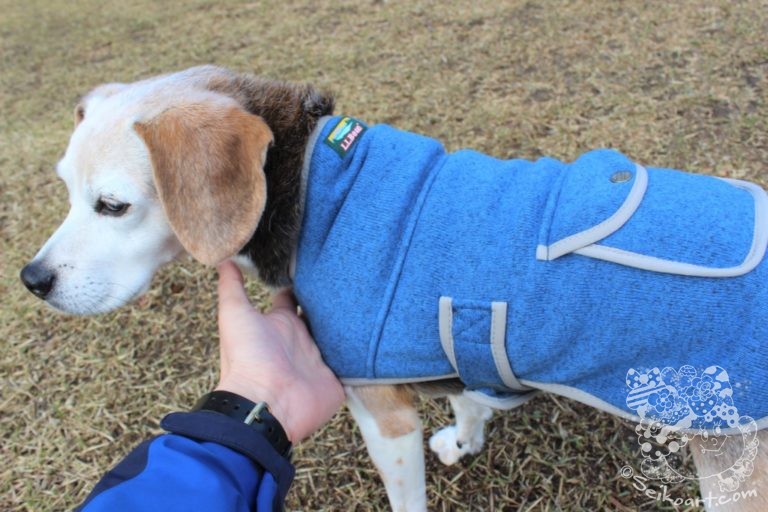 L.L.Bean（エルエルビーン）のフリース素材のドッグウェアが可愛くて暖かい！