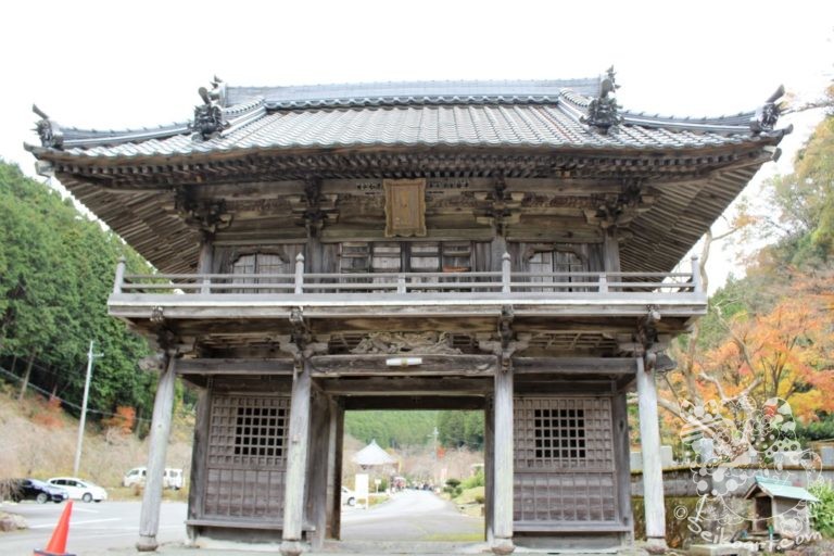 【丹波篠山もみじ三山 高蔵寺】愛犬と行く紅葉スポットへ！