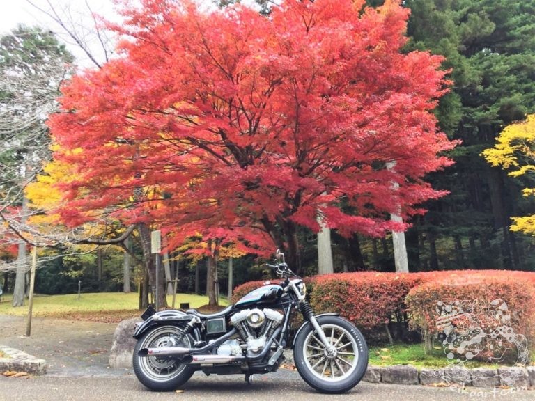 【高源寺】兵庫県の紅葉の名所へもみじ狩りツーリングへ行こう！