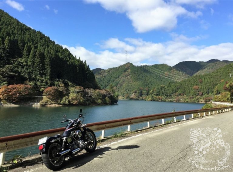 【青垣～生野銀山湖】秋のサクッとツーリングで癒しの景色を満喫する