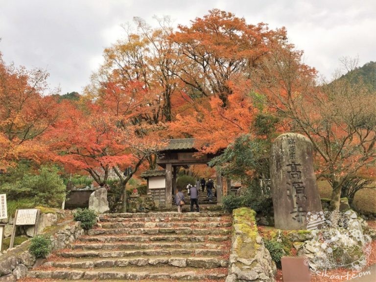 紅葉の名所『高源寺』は自然が織りなす美の芸術だった！