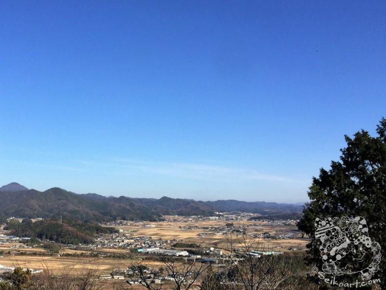 こんなに晴れた日は『洋食屋さんのお弁当』をもってお散歩へ行こう！
