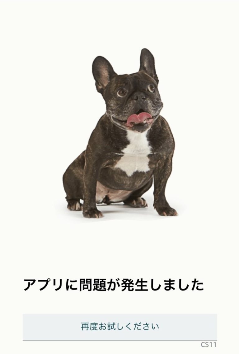 【衝撃】Amazon本社では7,000匹の犬が出社しているという事実