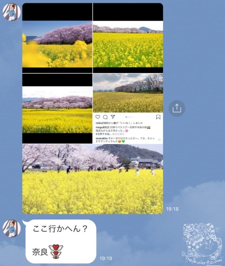 藤原京跡の菜の花と桜