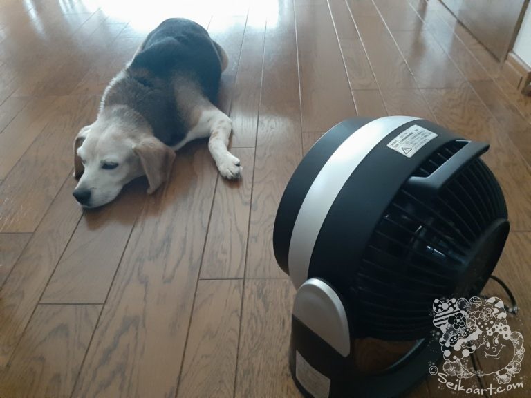 【アチアチ】やっぱり夏が暑すぎて寝てばかりのQoo