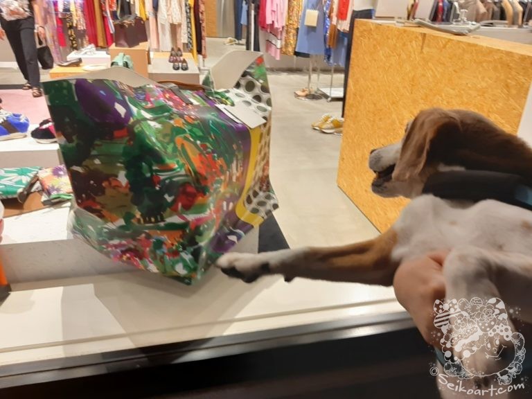 真夏の夜のウインドウショッピング