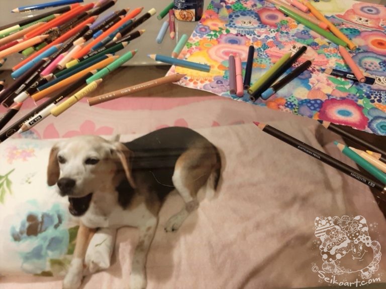 14歳の誕生日も嫌われるぐらい抱きしめたい