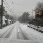 【初雪】久しぶりの積雪で動物病院までの雪道を走った