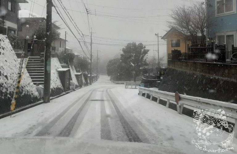 【初雪】久しぶりの積雪で動物病院までの雪道を走った
