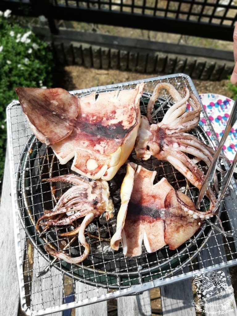 桜を見ながら七輪でイカを焼く春の日