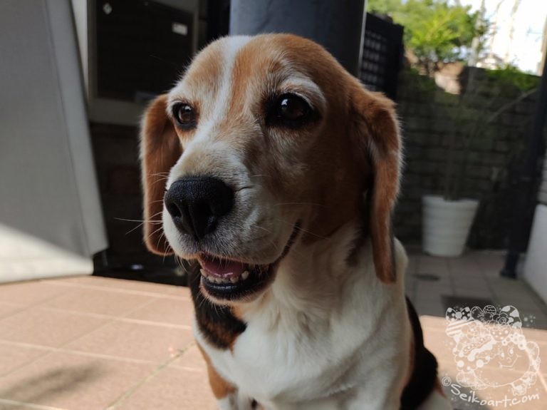 【良性？悪性？】乳腺腫瘍の病理検査の結果にビックリ！！