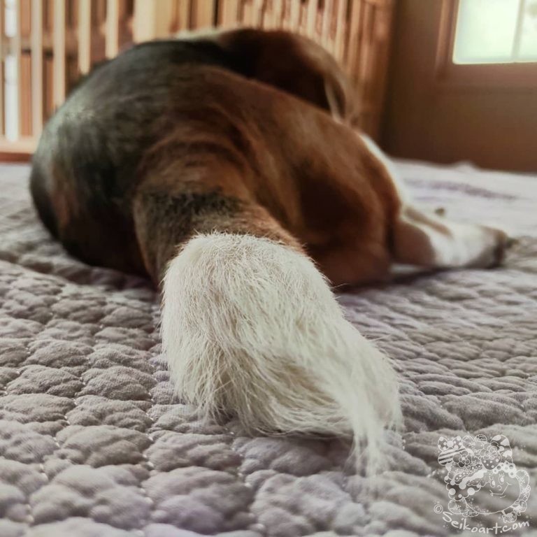雨降って地固まる