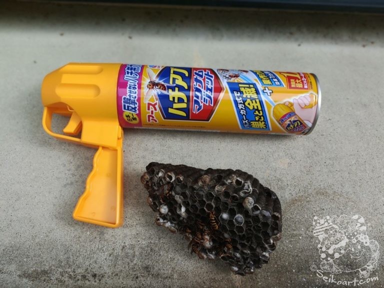 【閲覧注意】アシナガバチの巣を自分で駆除してみた