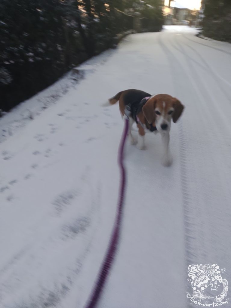 雪の積もった朝に楽しんだ性格の悪い遊び
