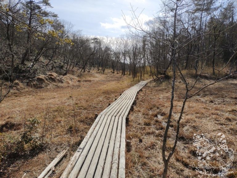 【天然記念物】遥かな丸山湿原へ行ってきた
