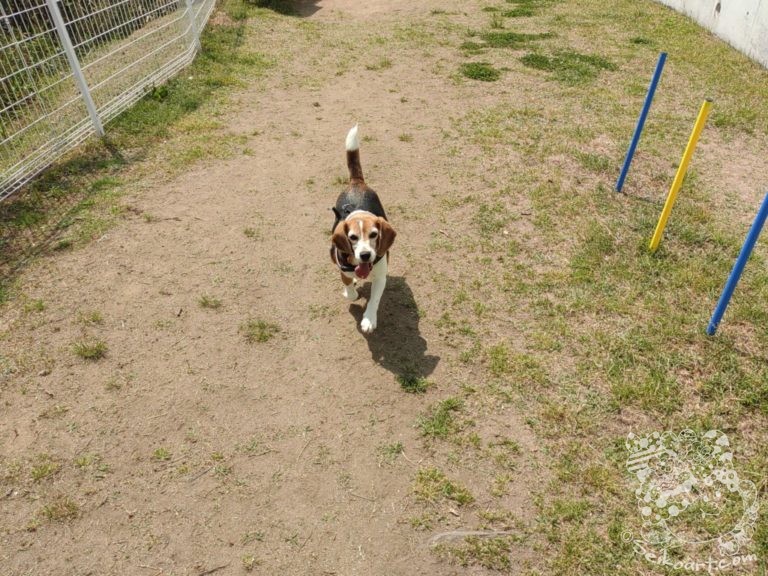 お墓参りでてんてこまい