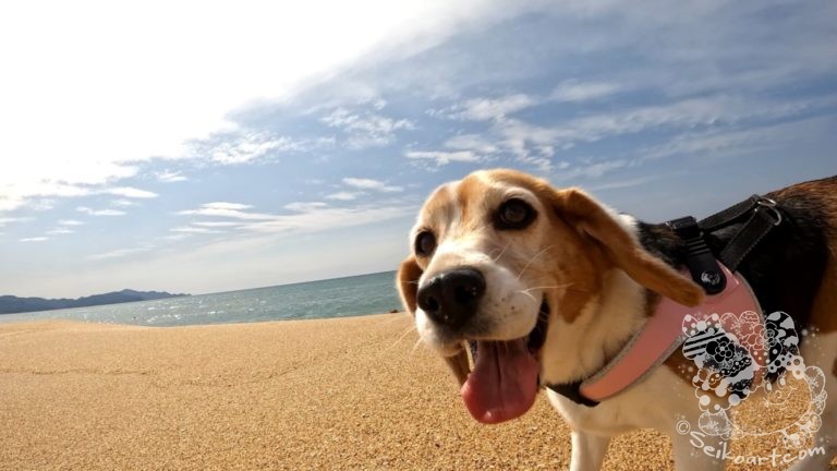 Tenと息子の生まれて初めての海