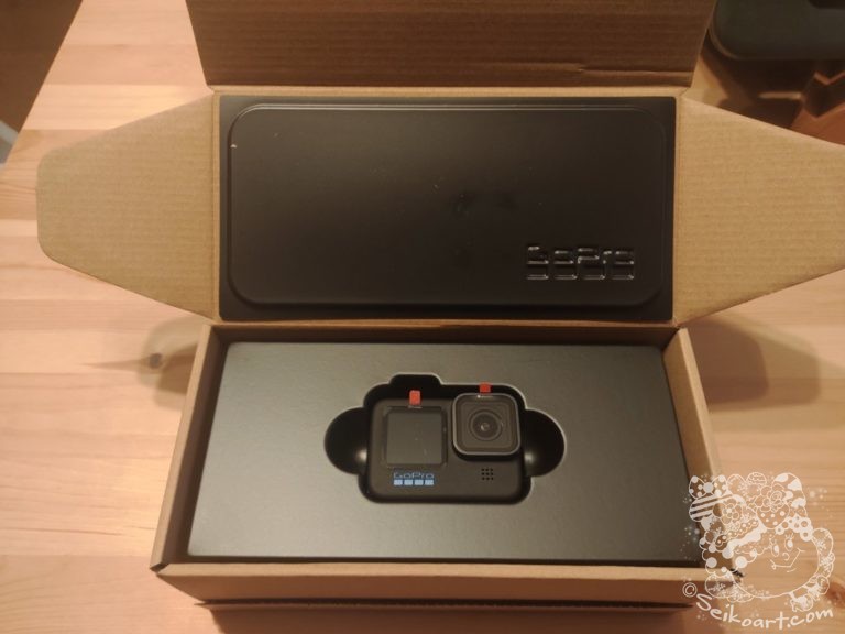 【GoProHERO10】シンガーポールで行方不明からの返品交換成功