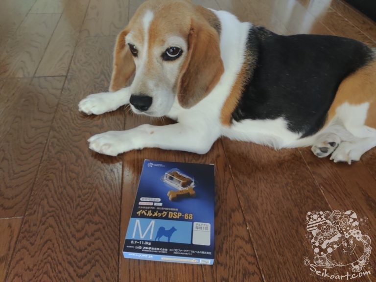 犬のフィラリア予防薬「イベルメクチン」がコロナ治療に有効？？