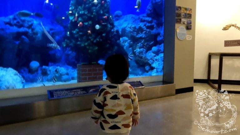 【魚っ知館】天橋立の近くにあるローカル水族館がすごい！