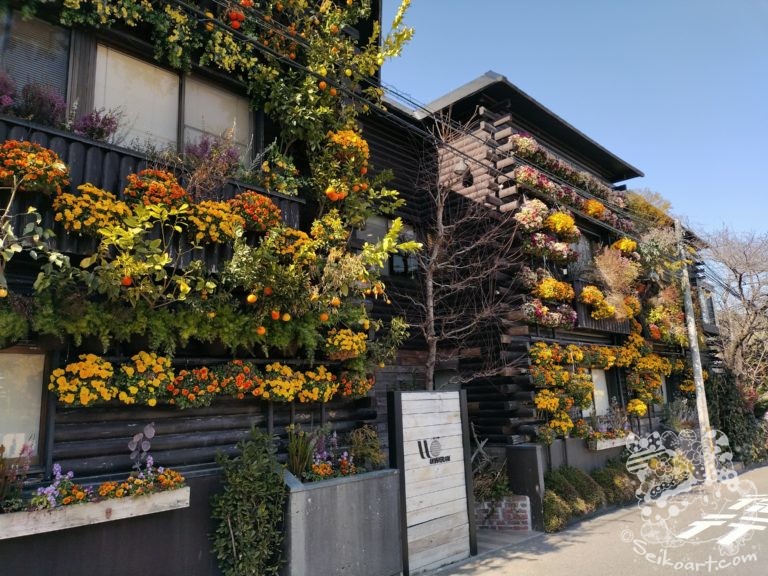 【ザファームユニバーサル大阪】関西最大級の植物のテーマパークに行ってきた！