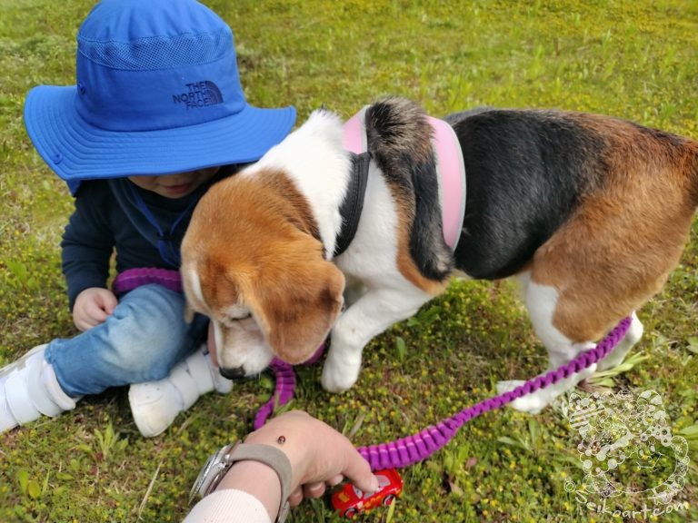 昆虫を素手で捕まえるという苦行
