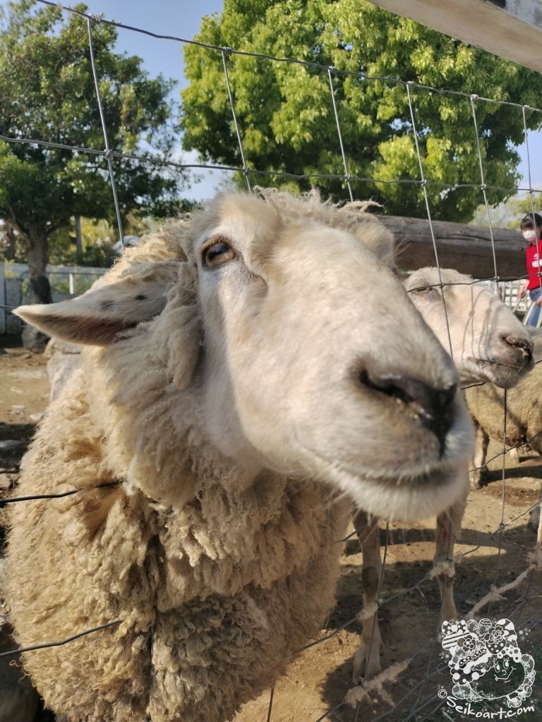 神戸空港からポートライナーに乗って神戸どうぶつ王国へ行く