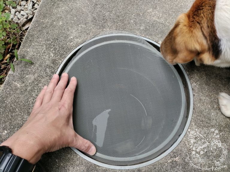 蚊の発生源はここだった？雨水桝を塞いでみた！