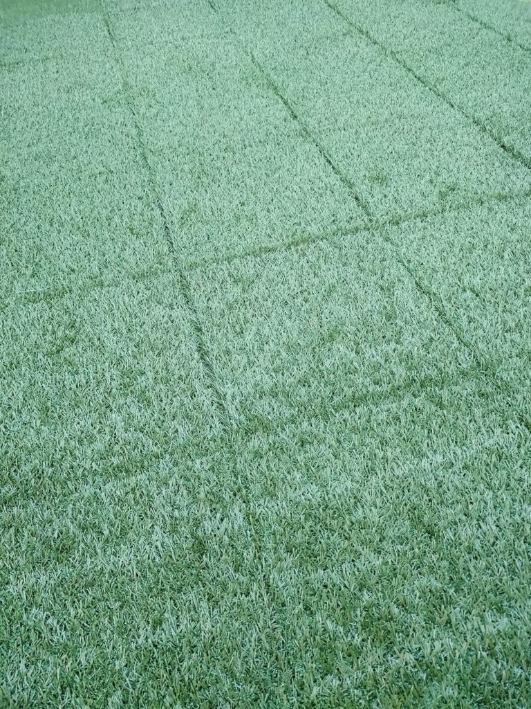 イケアの人工芝「RUNNEN」ルッネンを敷いてみた