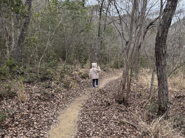 春のクワガタ探し体験記