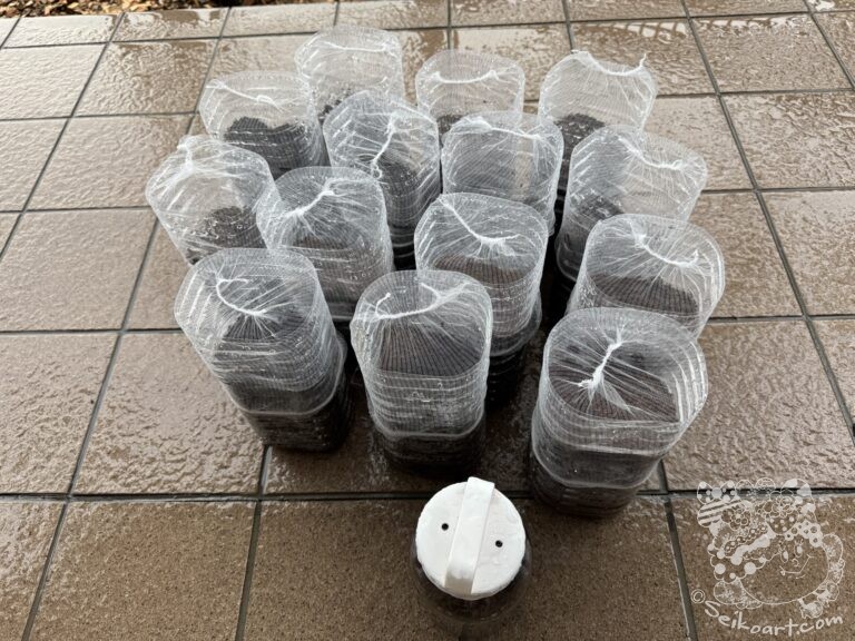 【閲覧注意】幼虫たちの“個室デビュー”と、奇跡の再会の話